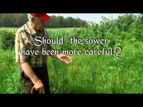 Parable of the Sower