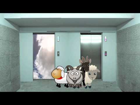 Are You a Sheep or a Goat?