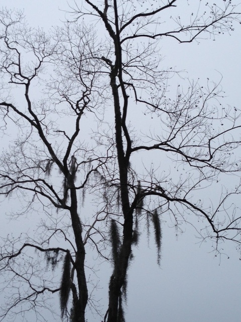 What Are You Worried About?