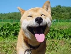 What Are You Happy About?