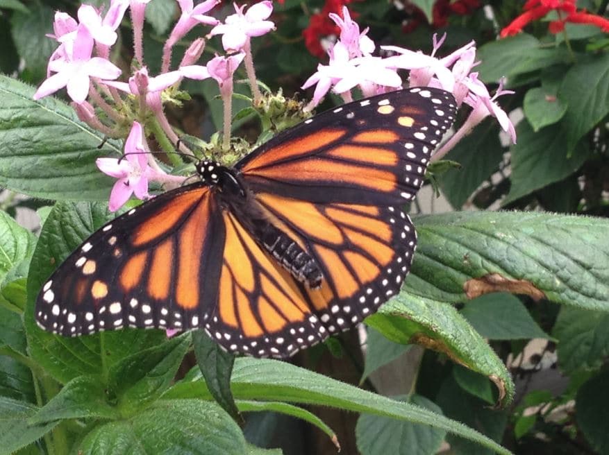 Is it Finally Time to Change?