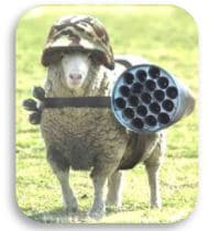 What Makes a True Christian Soldier?