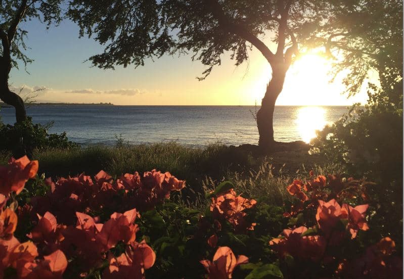 How Often Does Thankfulness Occur to You?